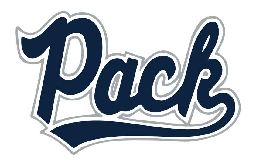 Nevada Wolf Pack 2015 Helmet Logo diy iron on heat transfer